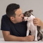 boston terrier puppies for sale near me