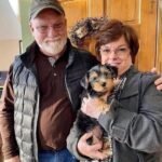 Yorkie puppies for sale